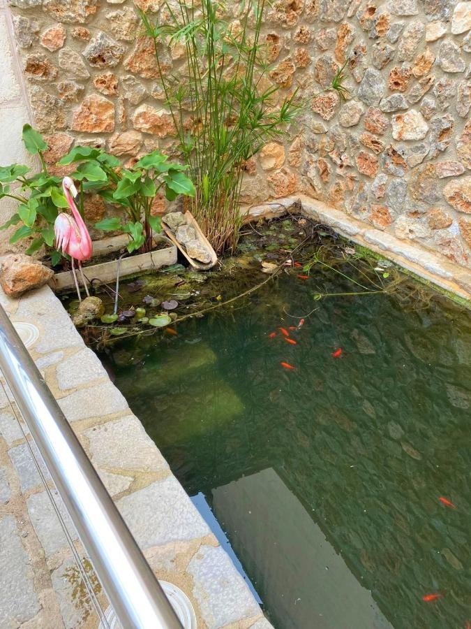 Ferienhaus Ideal Mallorca - Cal Tio *